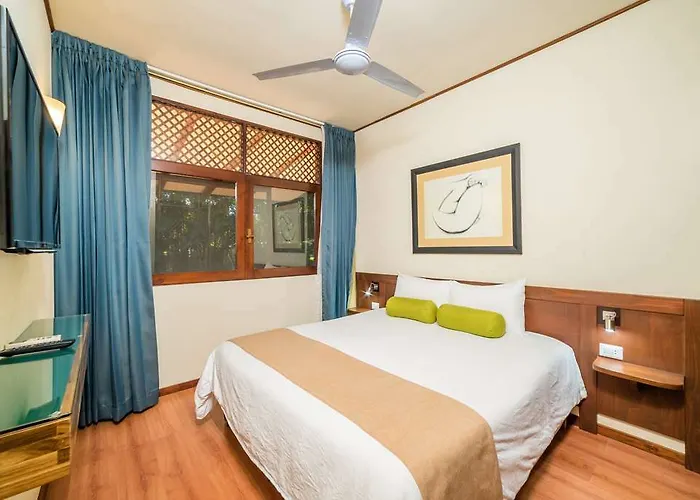 Hotel Palma De Oro